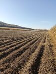 田野垄间大地质朴风光