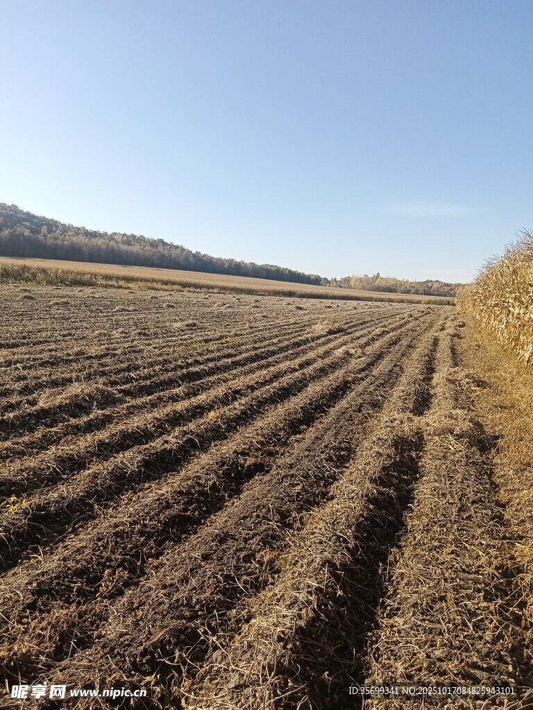 田野垄间大地质朴风光