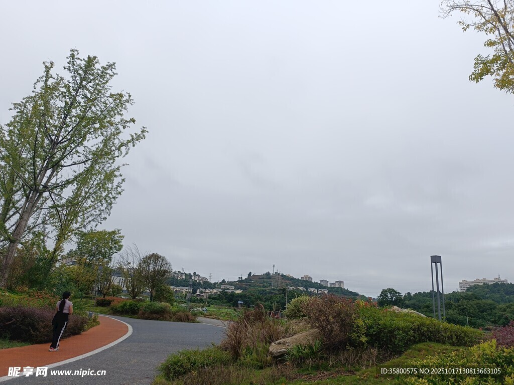 蜿蜒公路旁的清新自然景