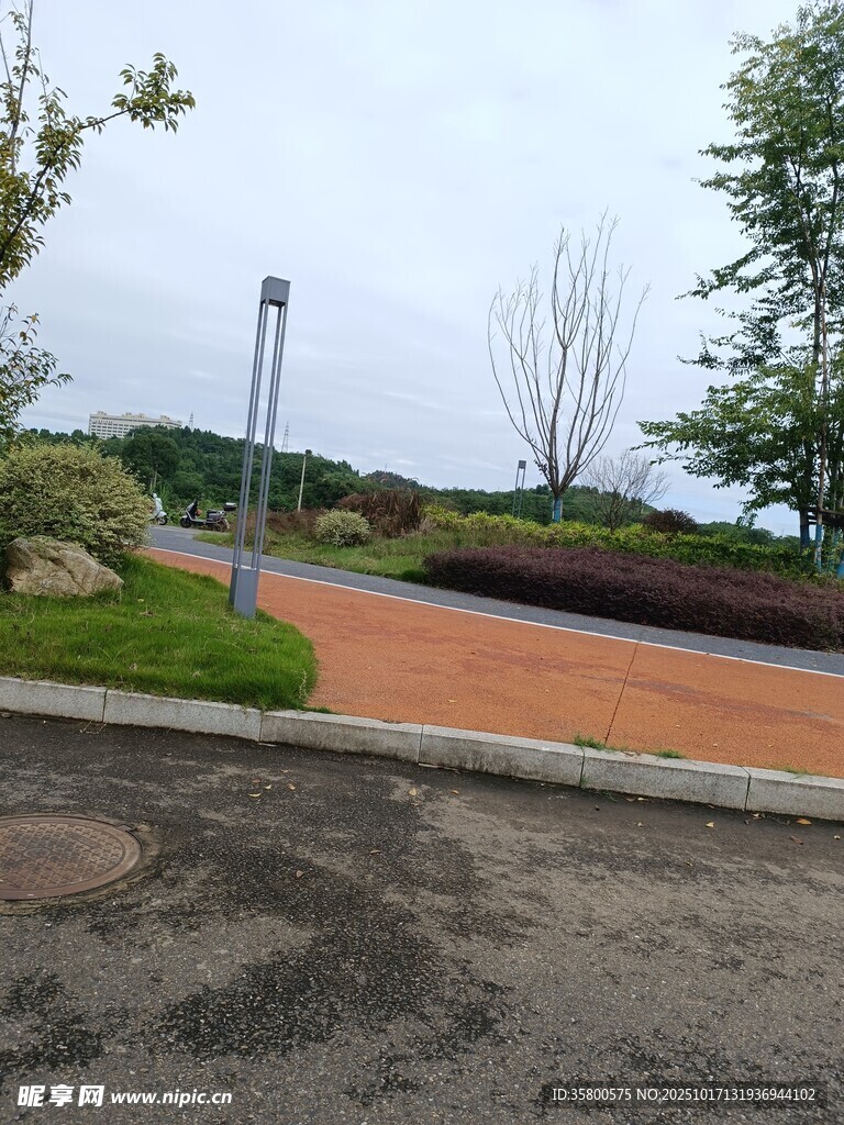 户外红砖步道与绿植景观