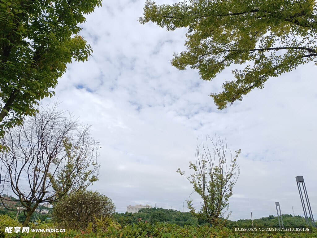 户外自然风景绿意盎然