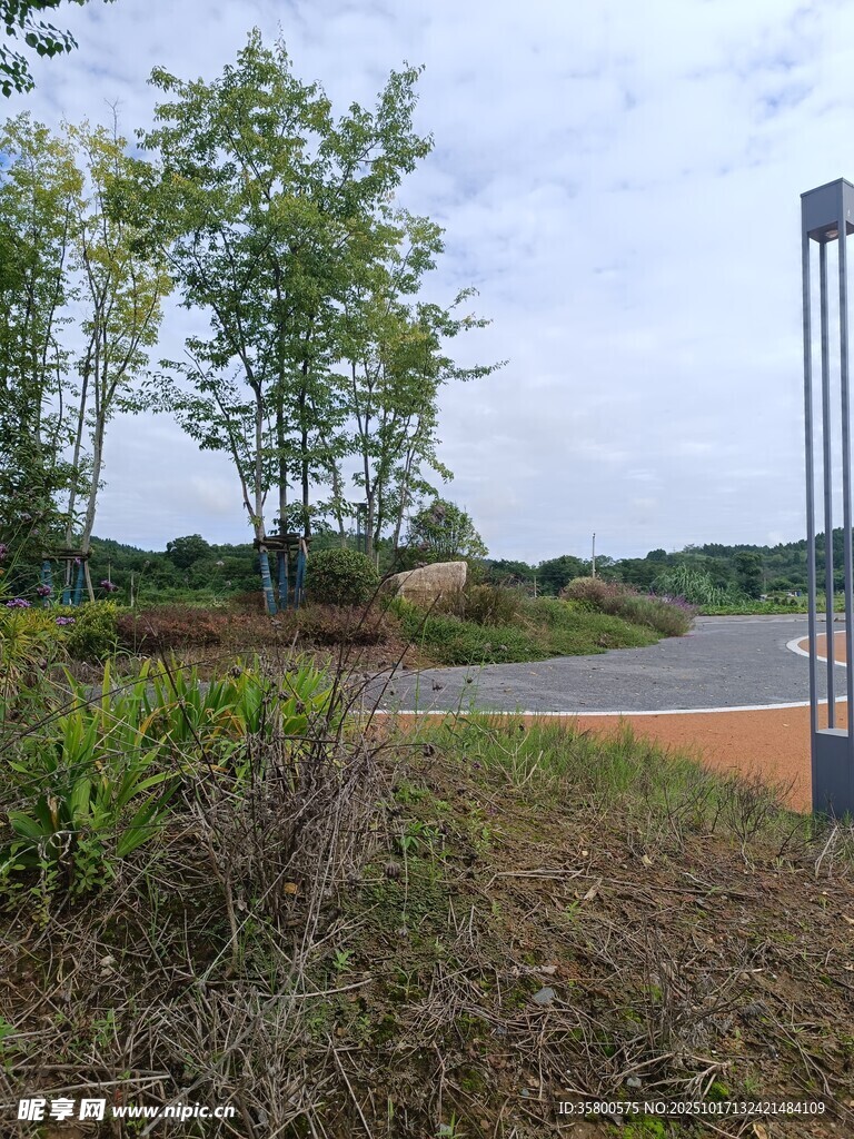 户外自然风光道路与绿植