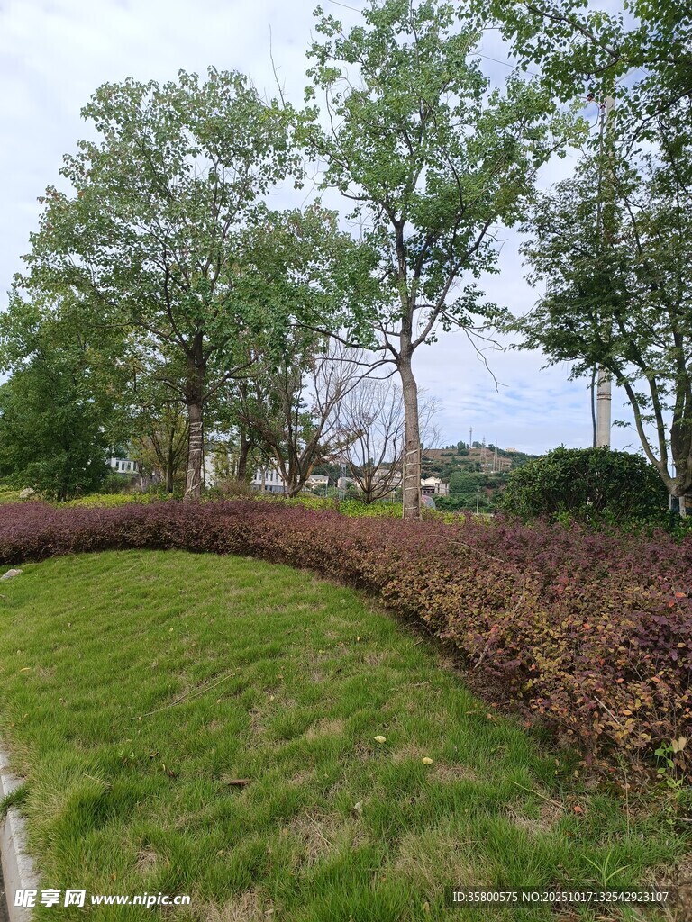 园林绿植景观
