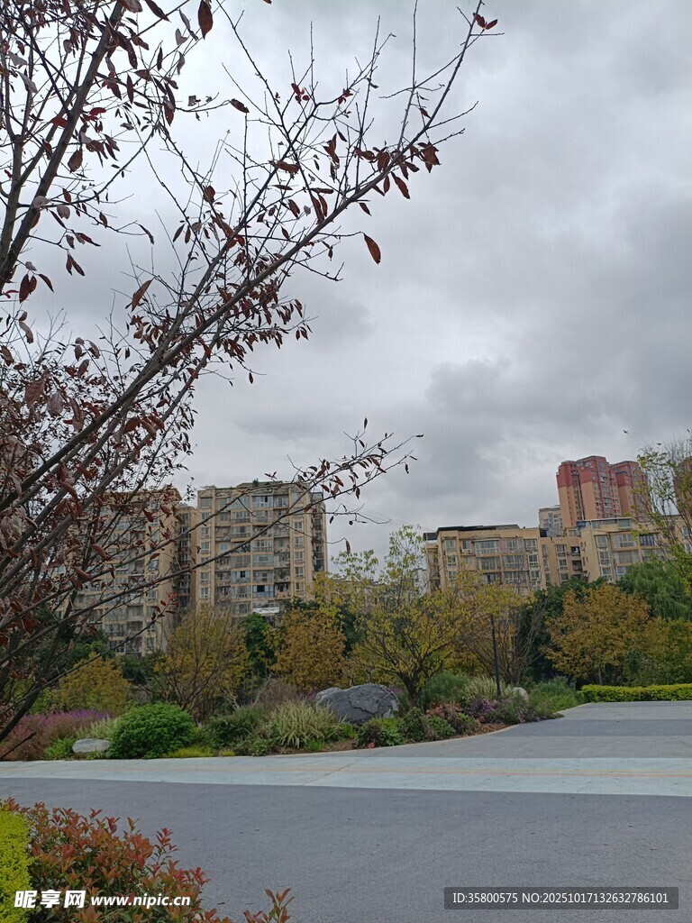 湖畔城市风景 