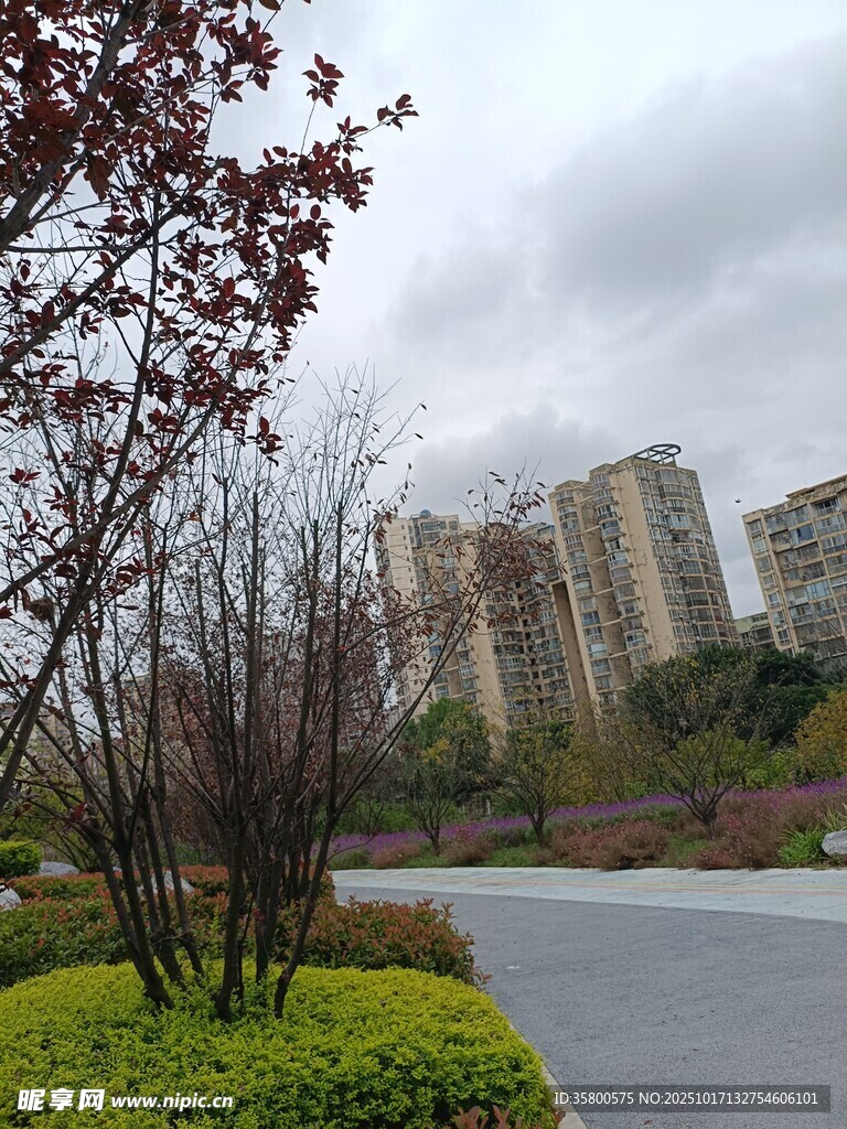 城市公园中的宁静道路
