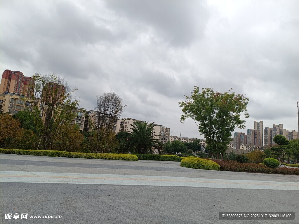 城市道路旁的绿植与建筑