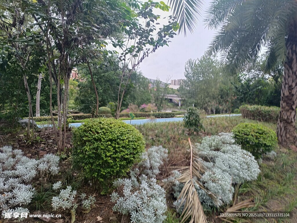 花园绿植景观