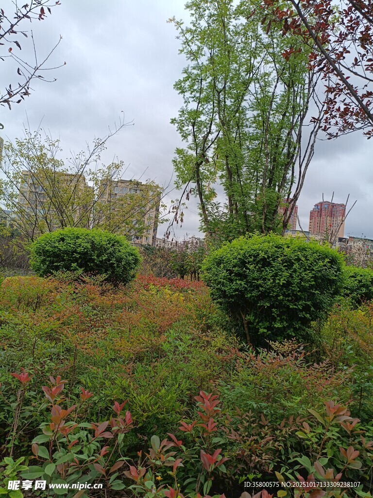 春日绿植景观