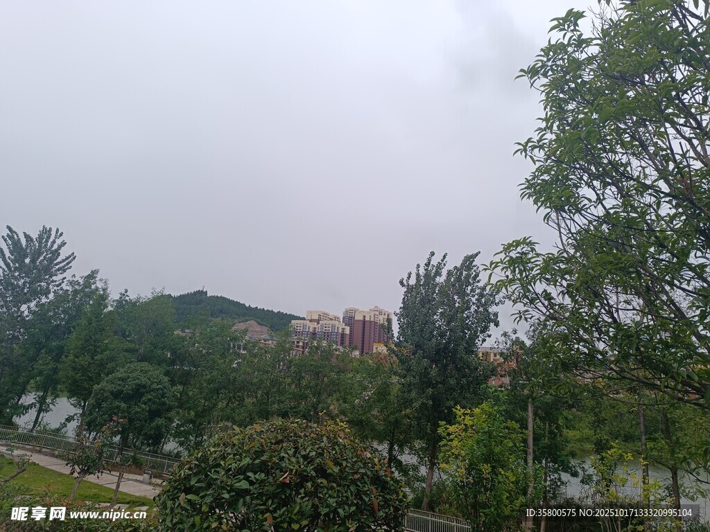户外绿树环绕的自然景致