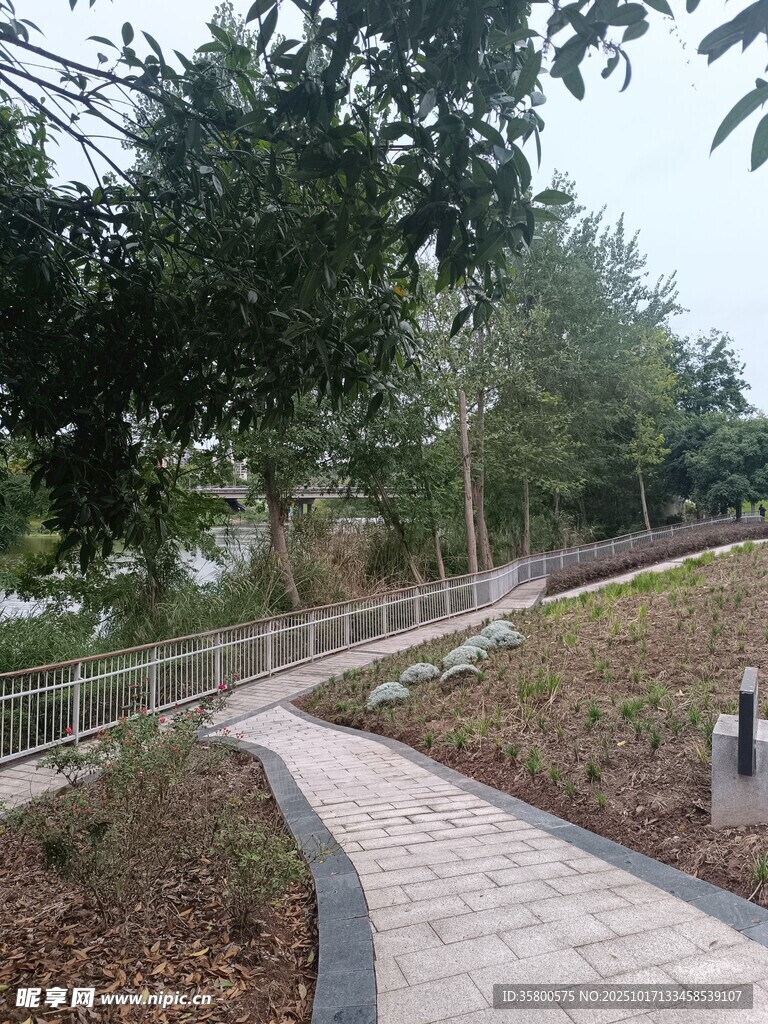林间蜿蜒的休闲步道