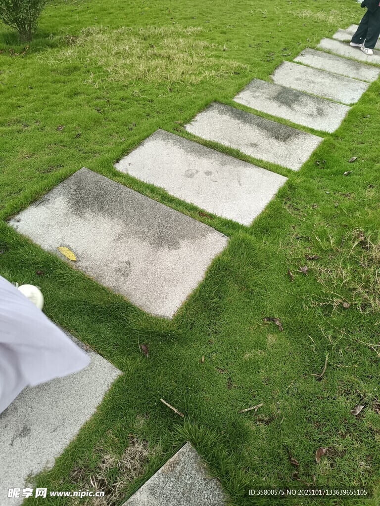 草地中的石板步道