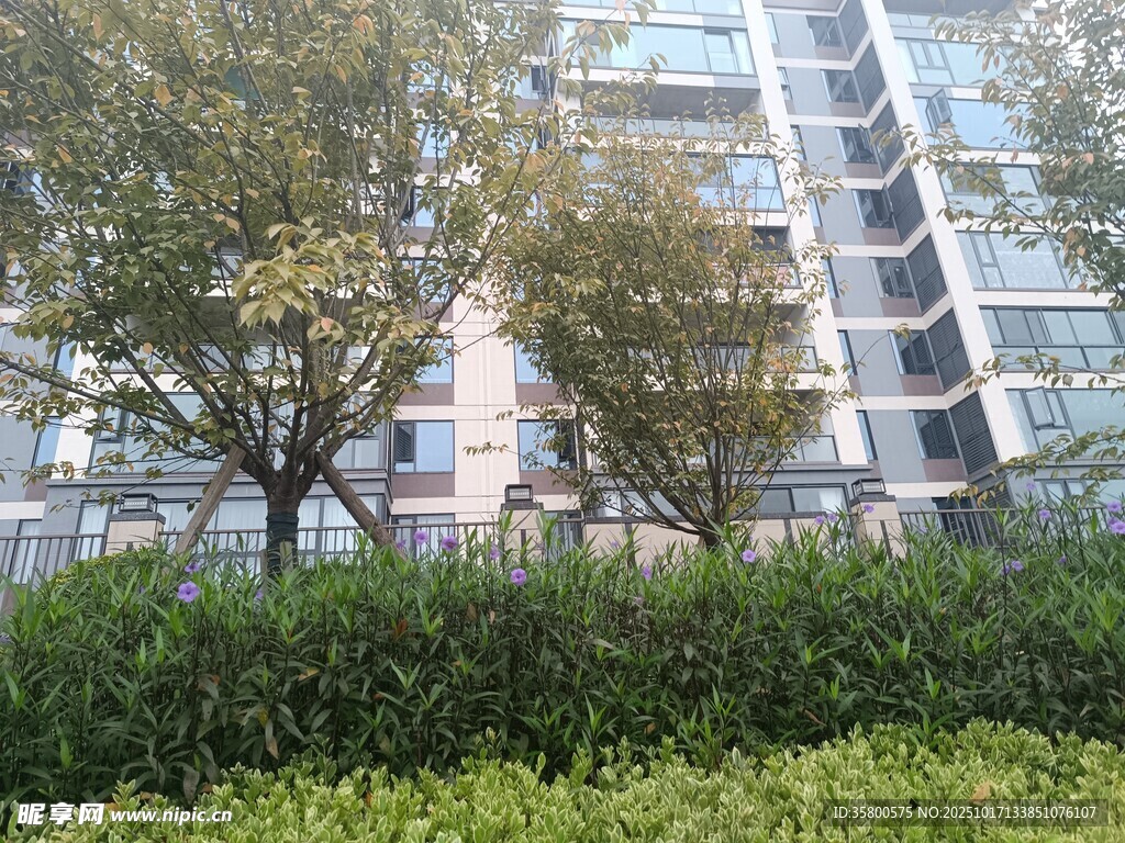 现代住宅旁的绿植景观