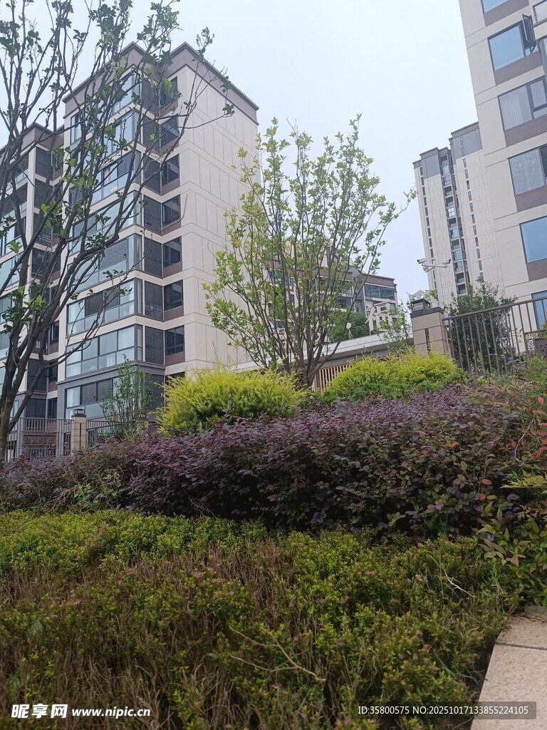 小区绿植与高楼景观