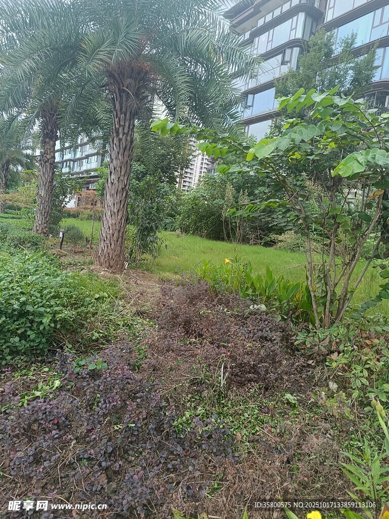 城市中的绿植景观角落
