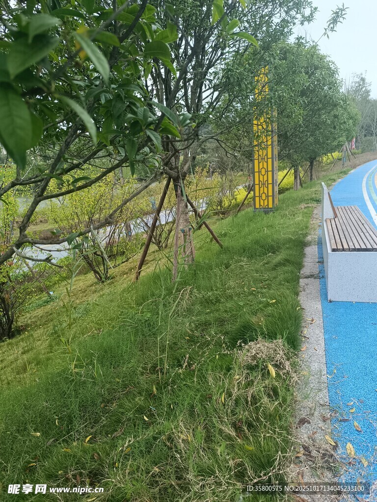 城市中的蓝色健身步道