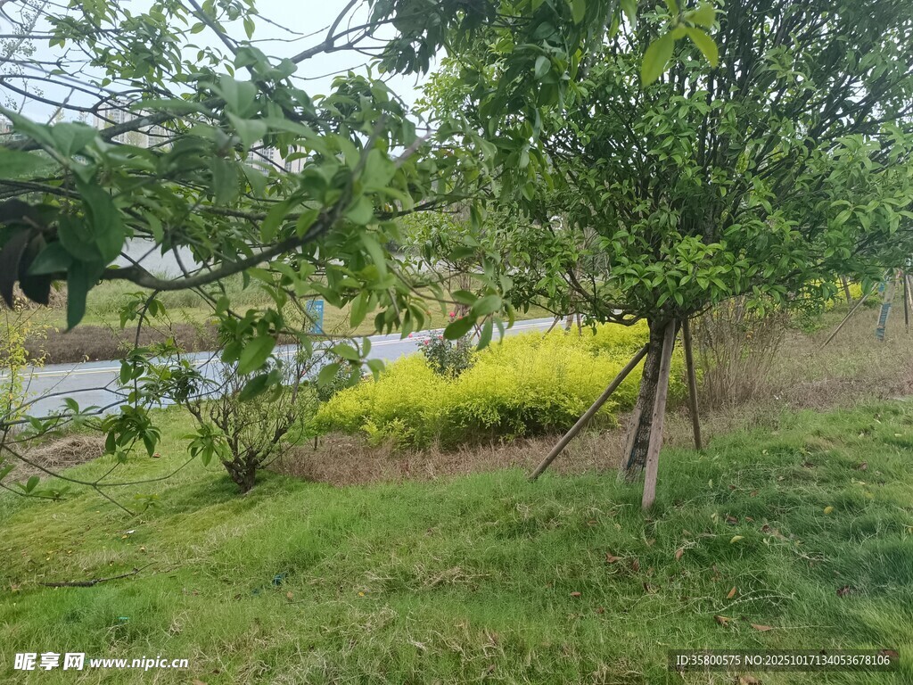 乡村田园风光美景