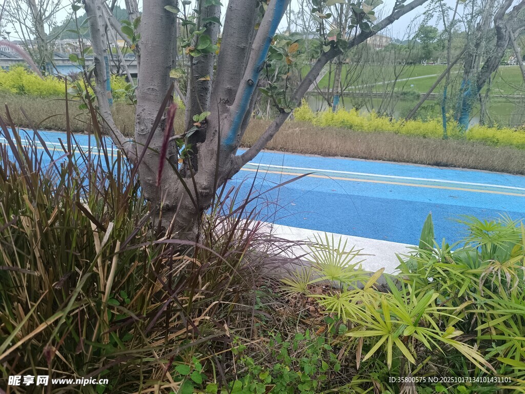 户外泳池边的绿植景观