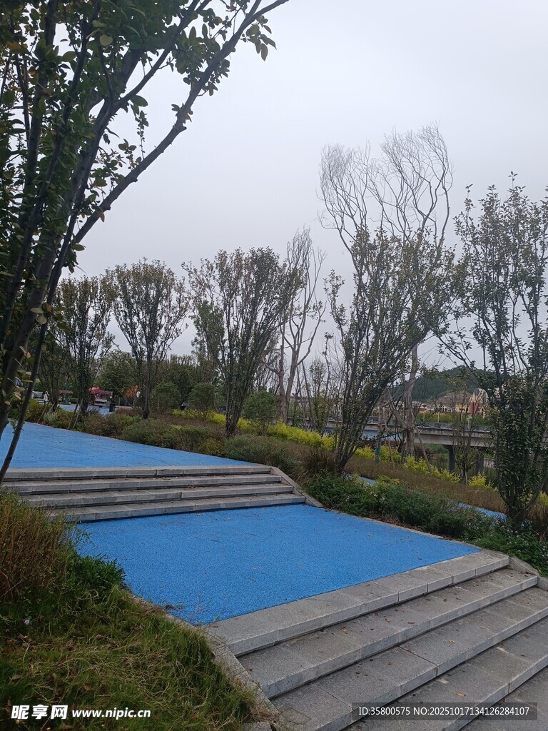 户外蓝色景观平台与树木