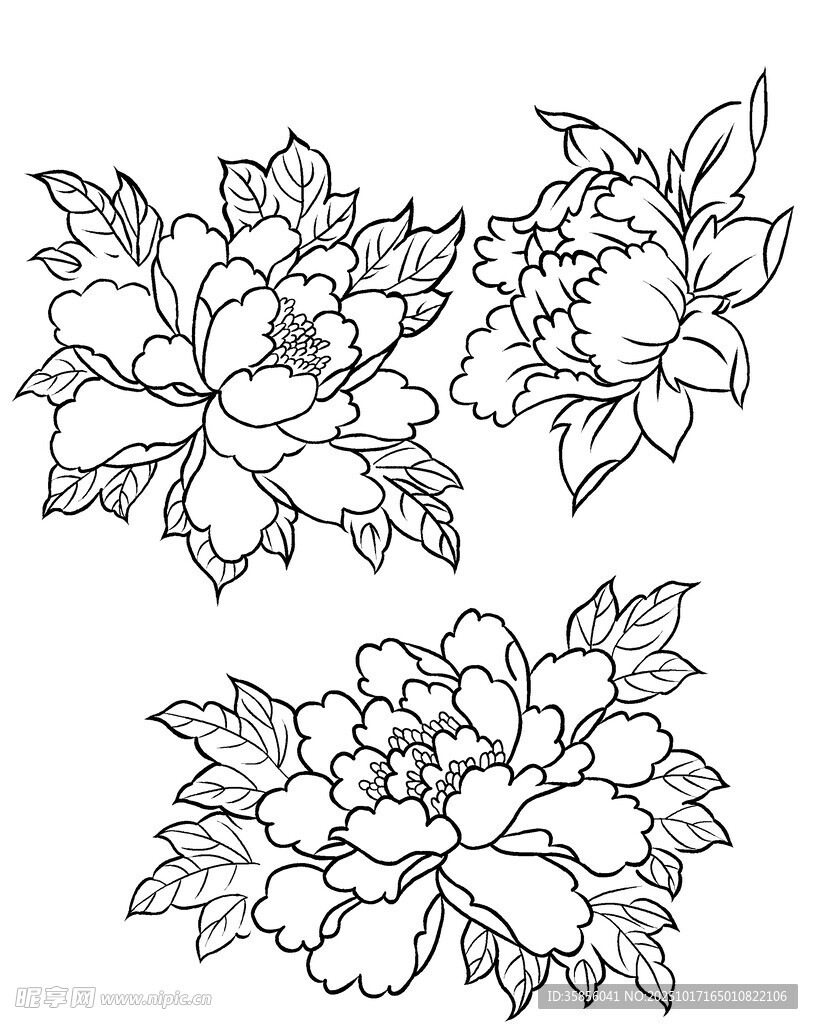 手绘牡丹花卉图案