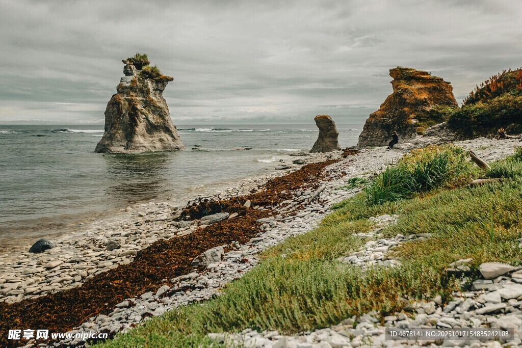 海边嶙峋怪石与葱郁岸景