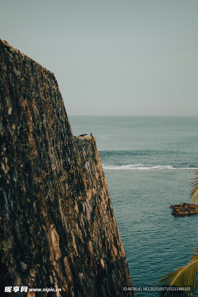 海边嶙峋岩石景观
