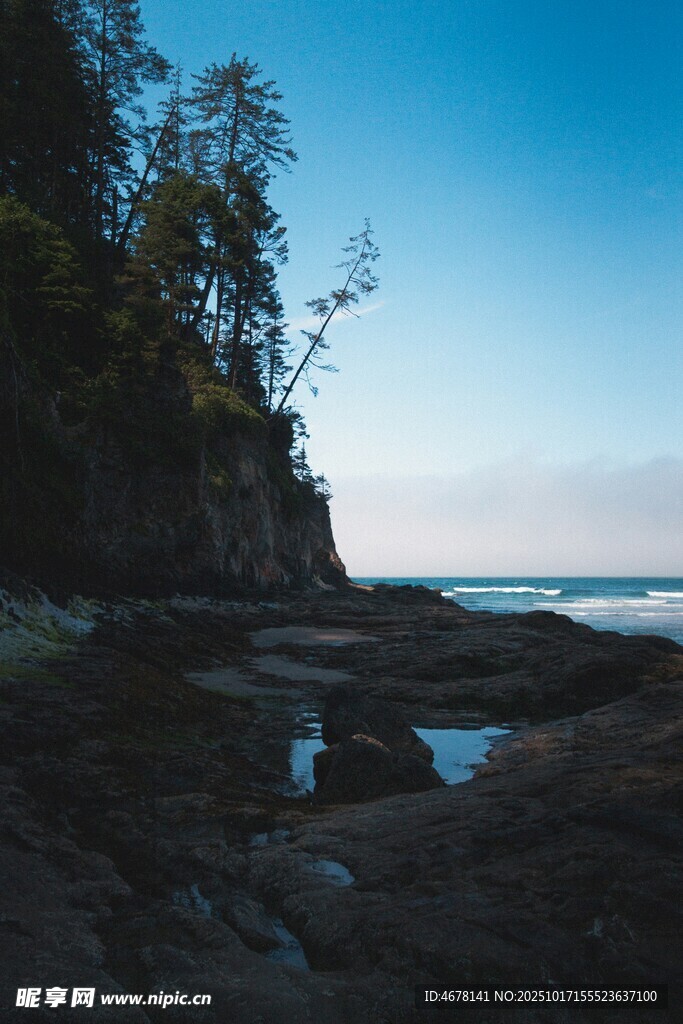 海岸边的宁静自然景致