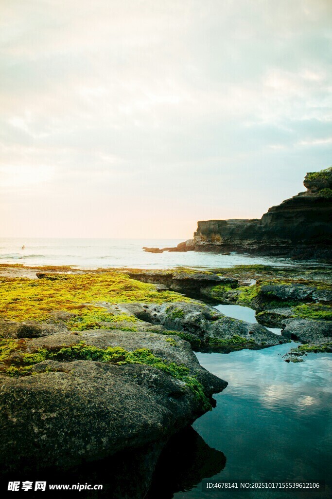 海边青苔覆盖的岩石美景