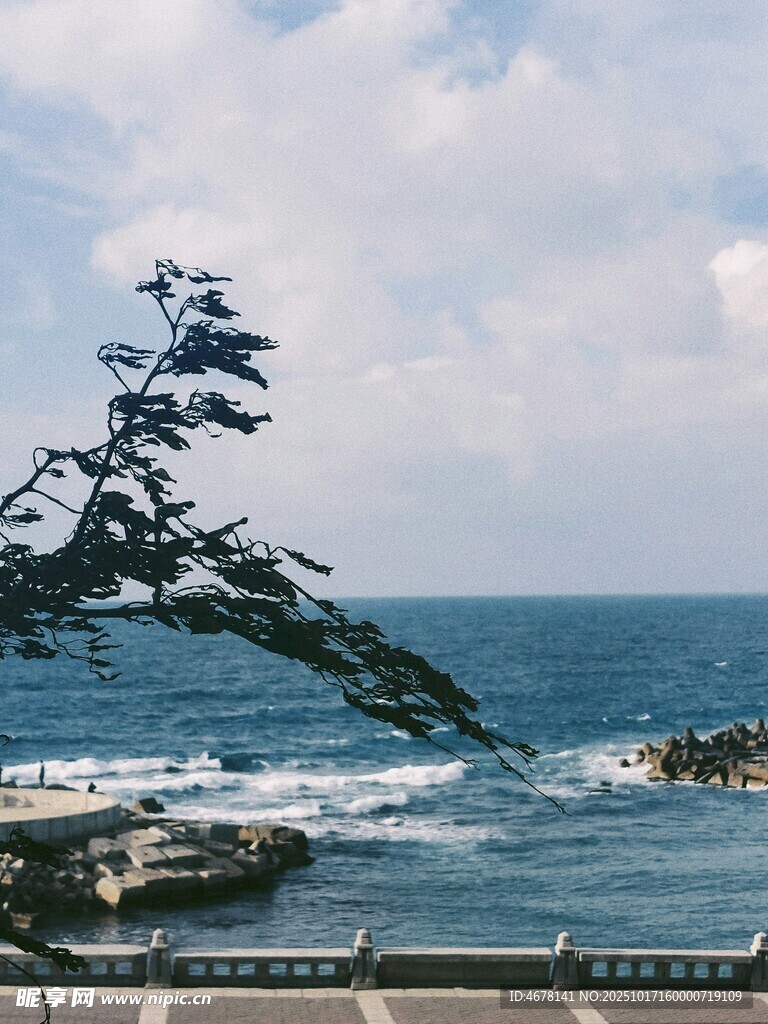 海边孤枝静赏碧海蓝天