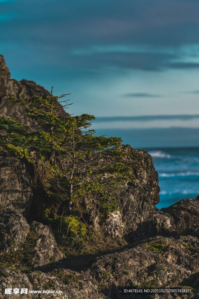 海边嶙峋岩石与绿植景观