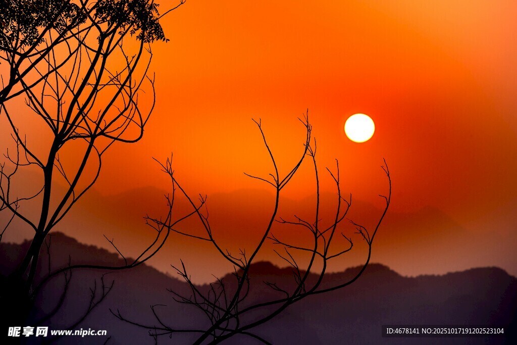 夕阳下的枯树与远山