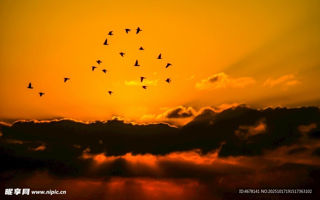 夕阳下的浪漫热气球群