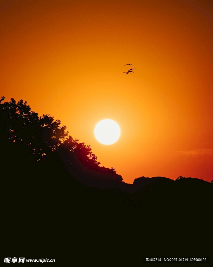 夕阳西下飞鸟剪影