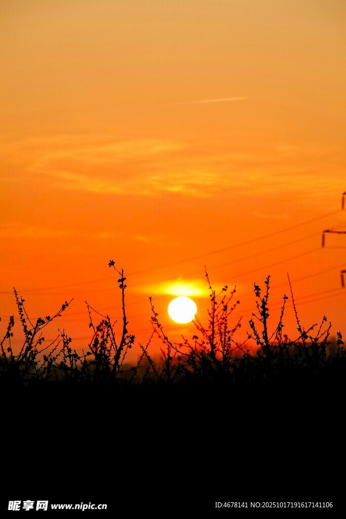 夕阳下的田野剪影