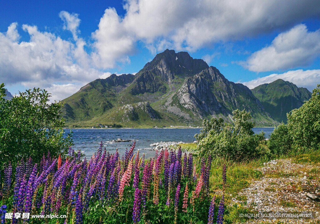 湖畔花海与远山美景