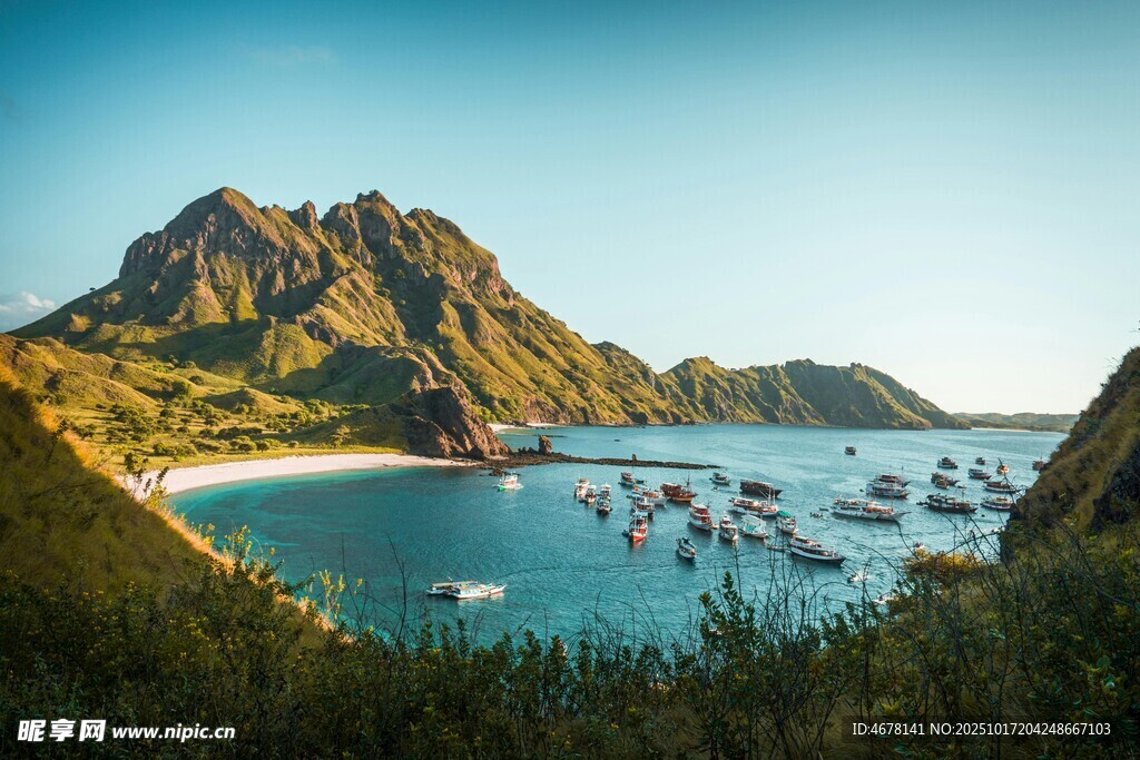 美丽海湾与停泊船只景观
