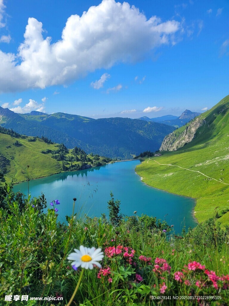 山间湖畔繁花美景
