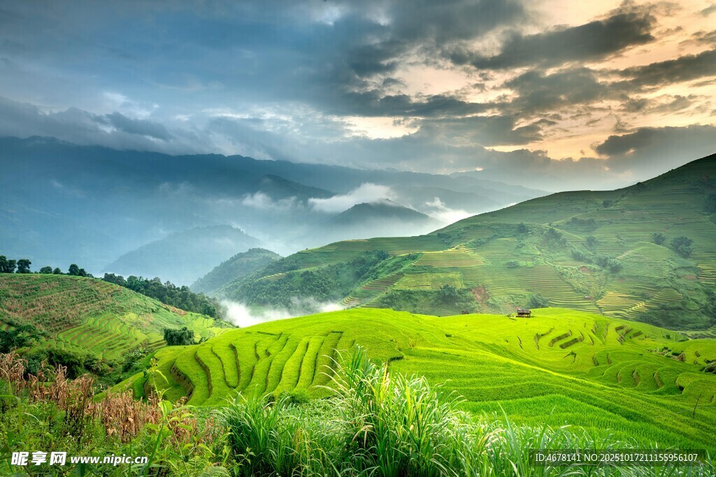 山间绿野美景