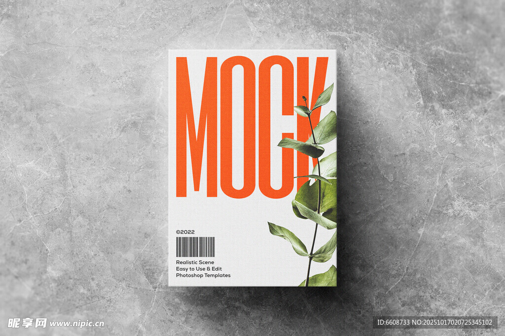 Mock杂志封面设计展示