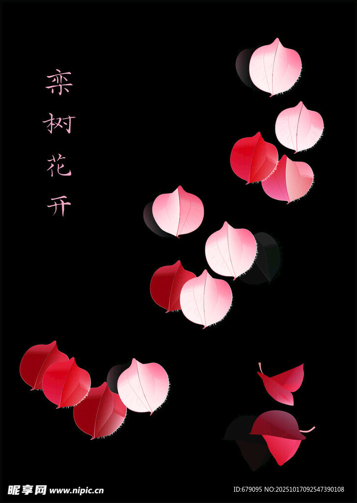 栾花