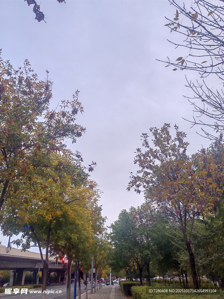 秋日公园景色