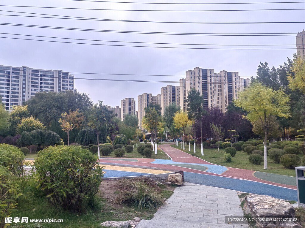 城市公园中的多彩步道景观