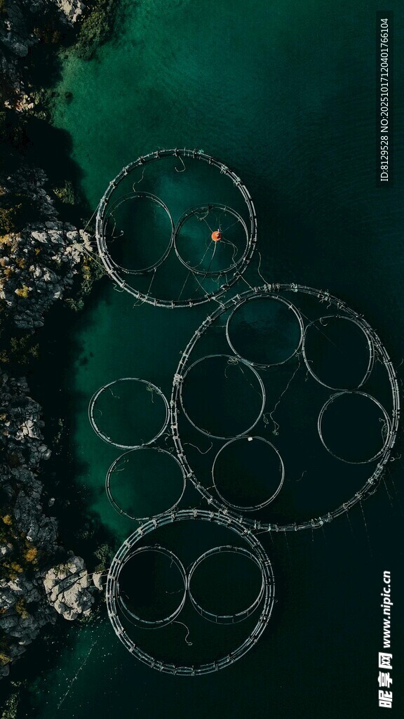 水下悬浮的金属圆环景观