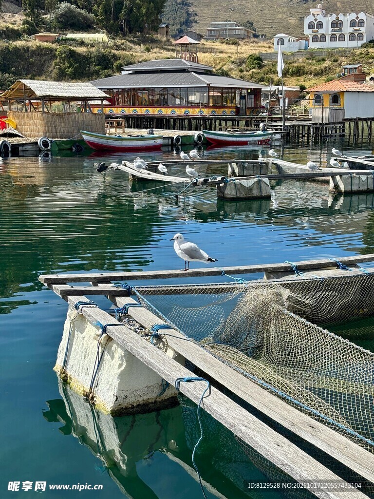 宁静港湾中的停泊船只