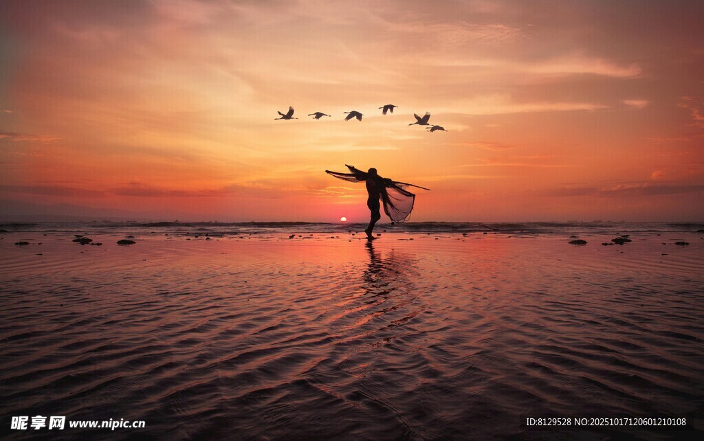 夕阳下海边舞者与飞鸟