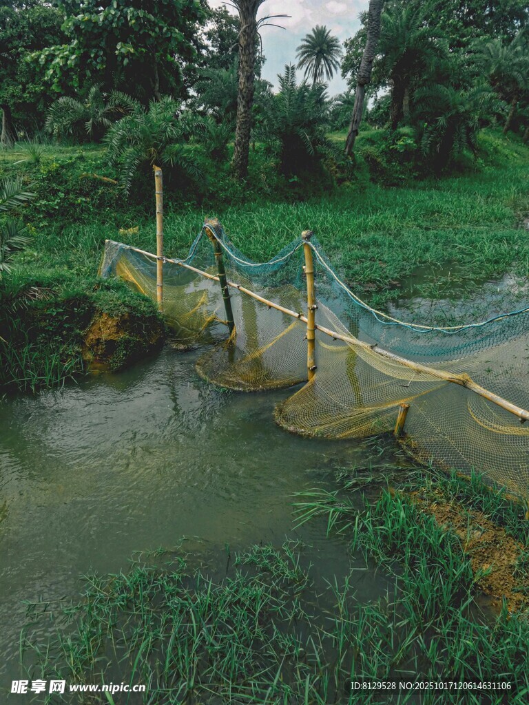 乡村木索桥横跨绿水