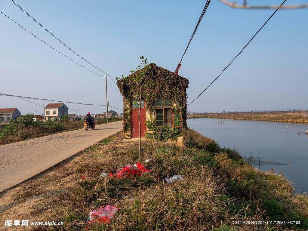 乡村小道旁的小屋与花卉