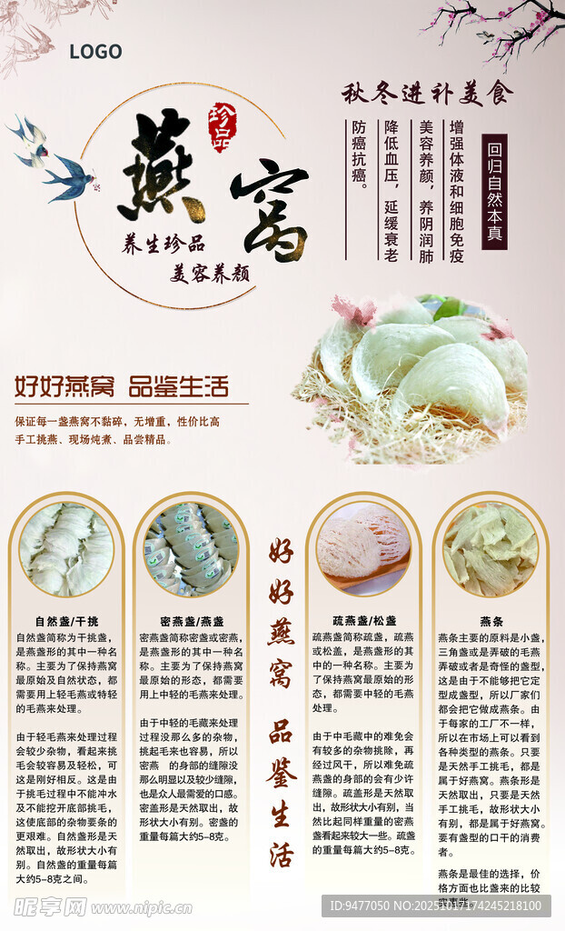 燕窝海报