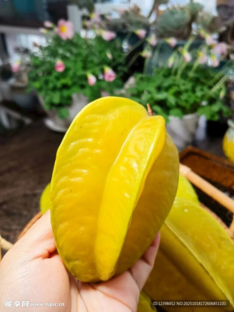 手捧切开的新鲜杨桃