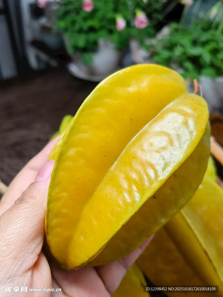 手捧切开的新鲜杨桃