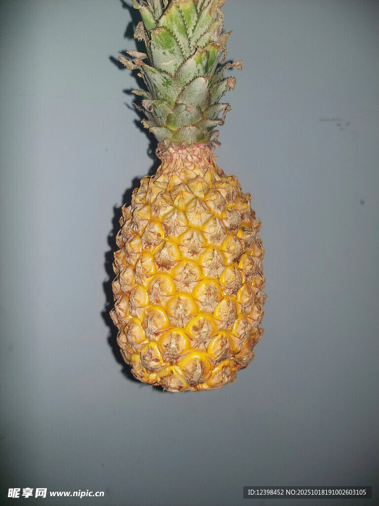 单个新鲜菠萝特写